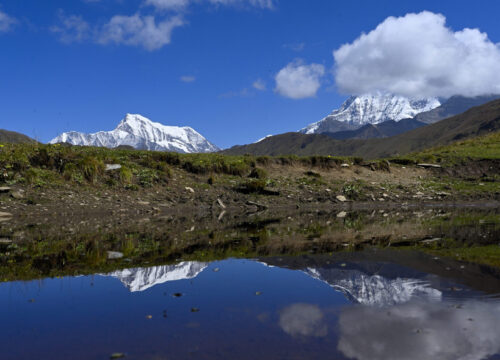 Ali Bedni Trek
