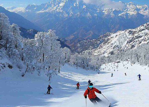 Auli With Rishikesh Tour Package